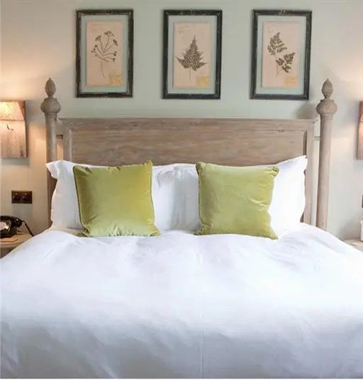 Perfectly Plain Paint Designers Guild