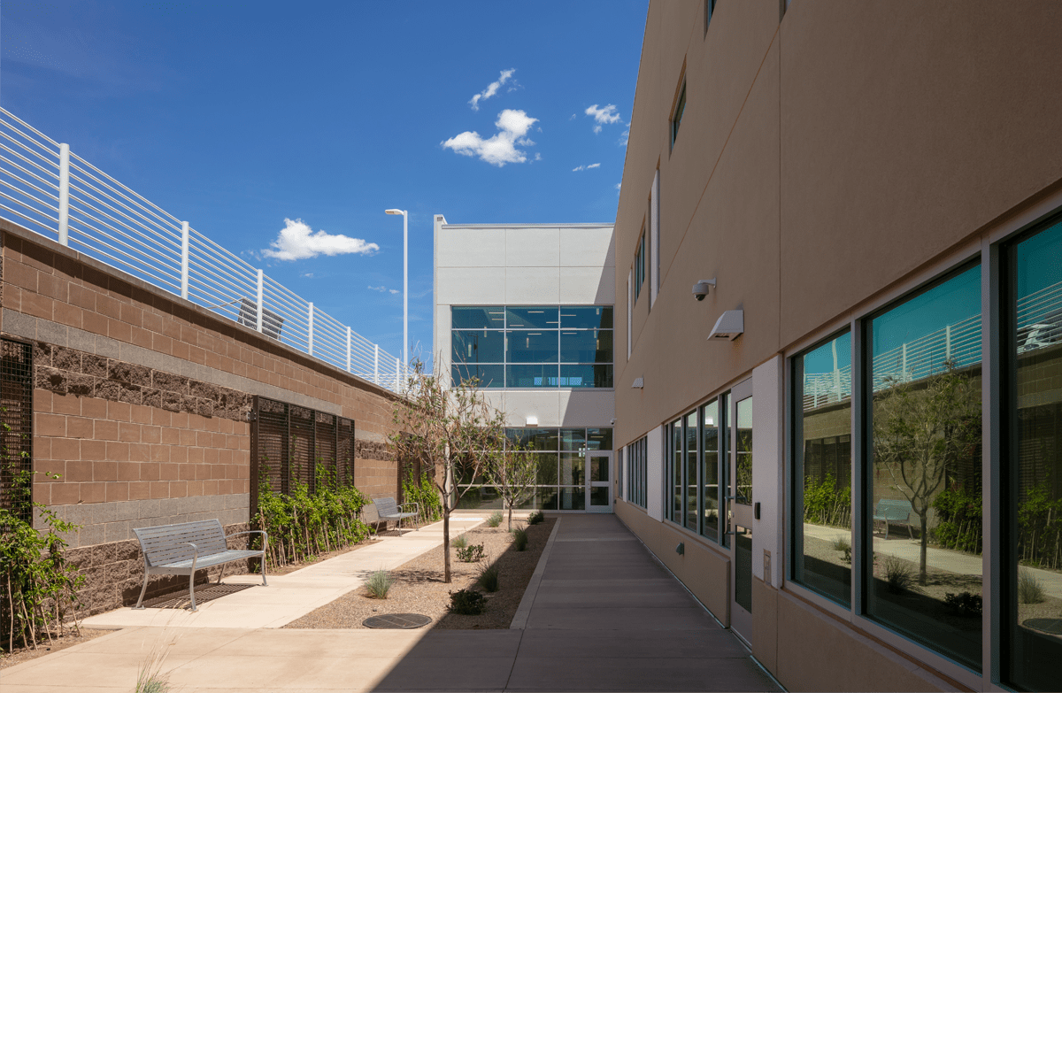 UNM HSC Center of Excellence for Orthopaedic Surgery & Rehabilitation