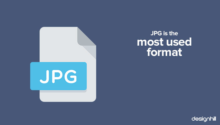 15 Things You Must Know About Logo File Types