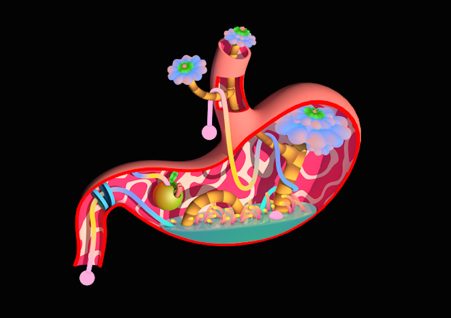 "Inside Ya Body" looks inside the body for inspiration Design Indaba