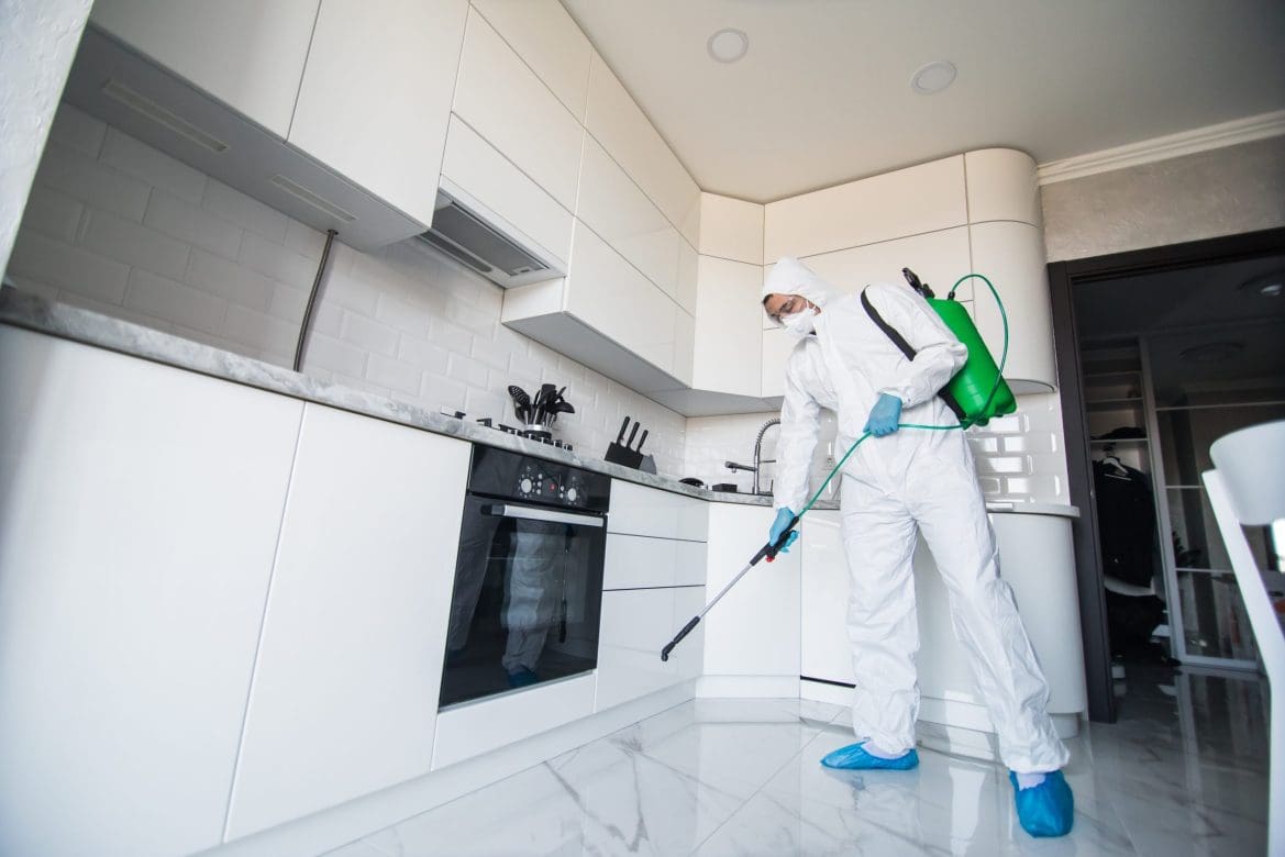 Our quick guide to mold remediation Interior Design, Design News and