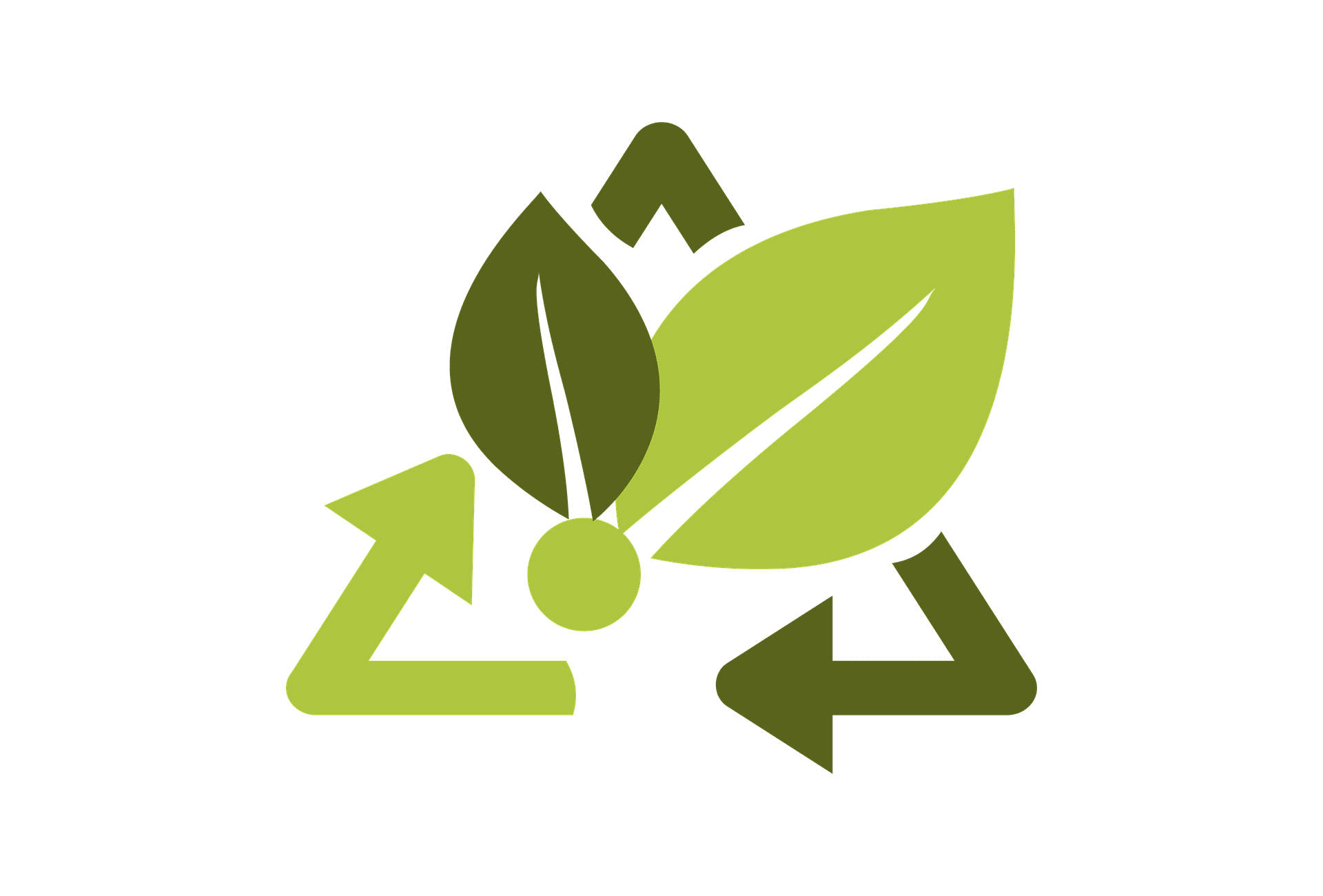 How To Choose The Best Modern and EcoFriendly Items For Your Home