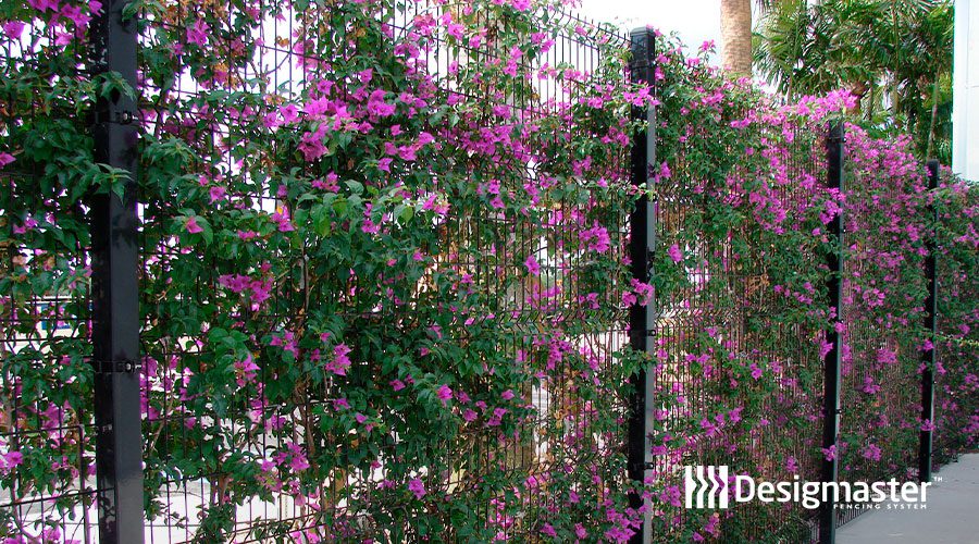 What is the best fencing for large property? Designmaster Fence