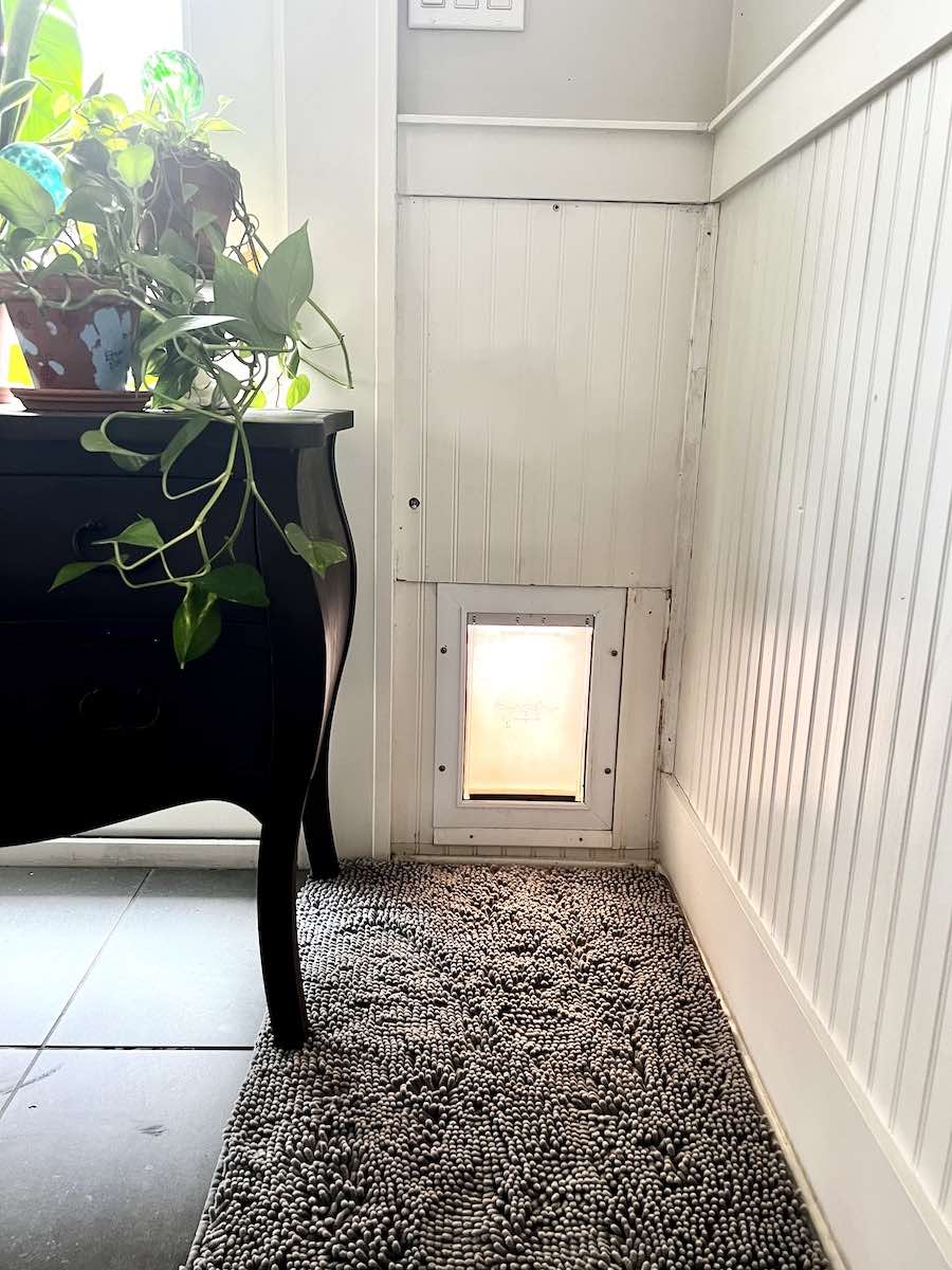 The Best Outdoor Doormat For Dog Owners Design Morsels