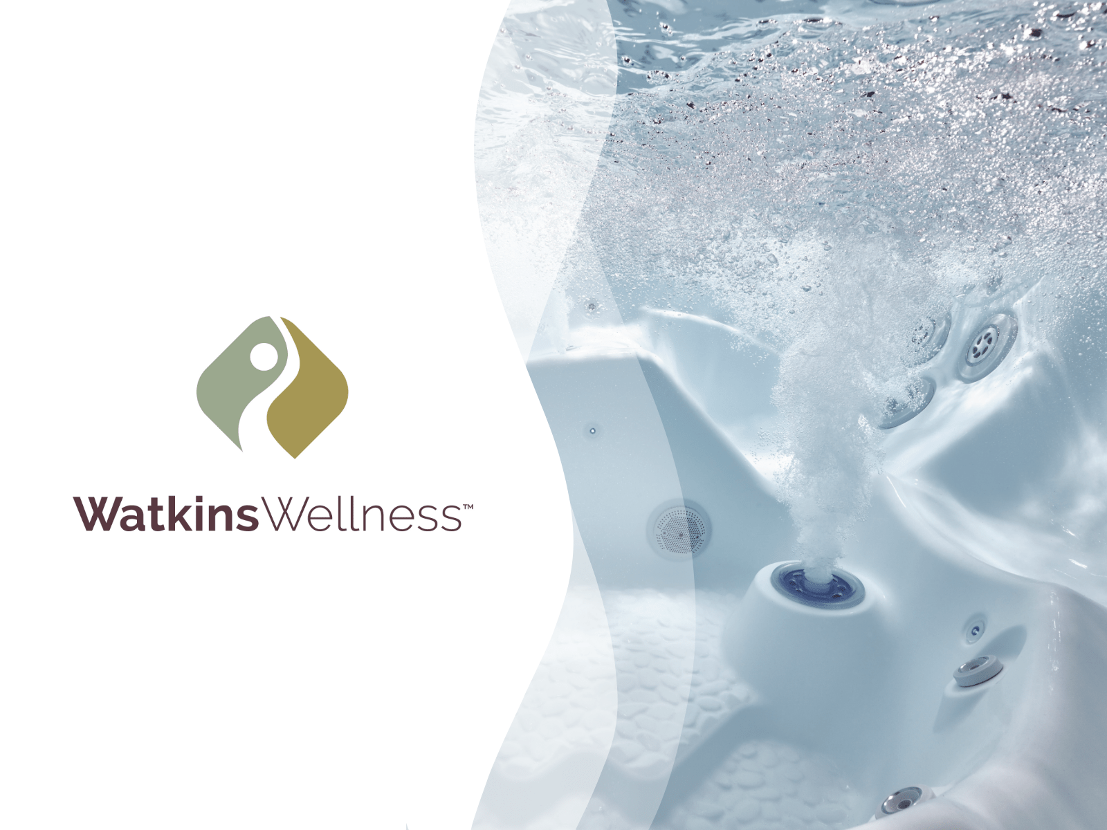 Watkins Wellness Local Dealer Program DesignStudio Network