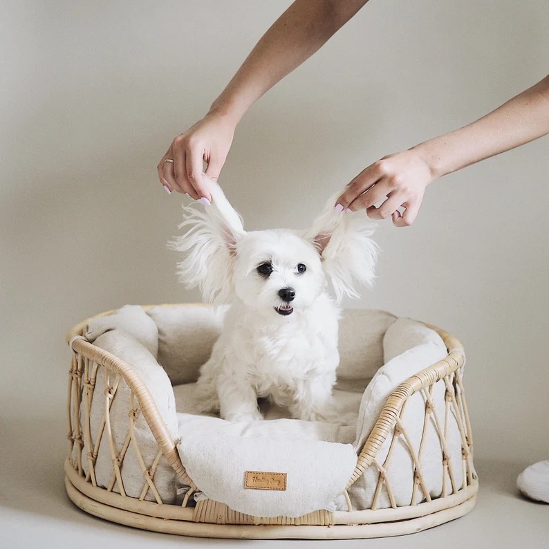 12 Stylish Dog Beds with a Minimal Style [2024 Trend] Design Studio 210