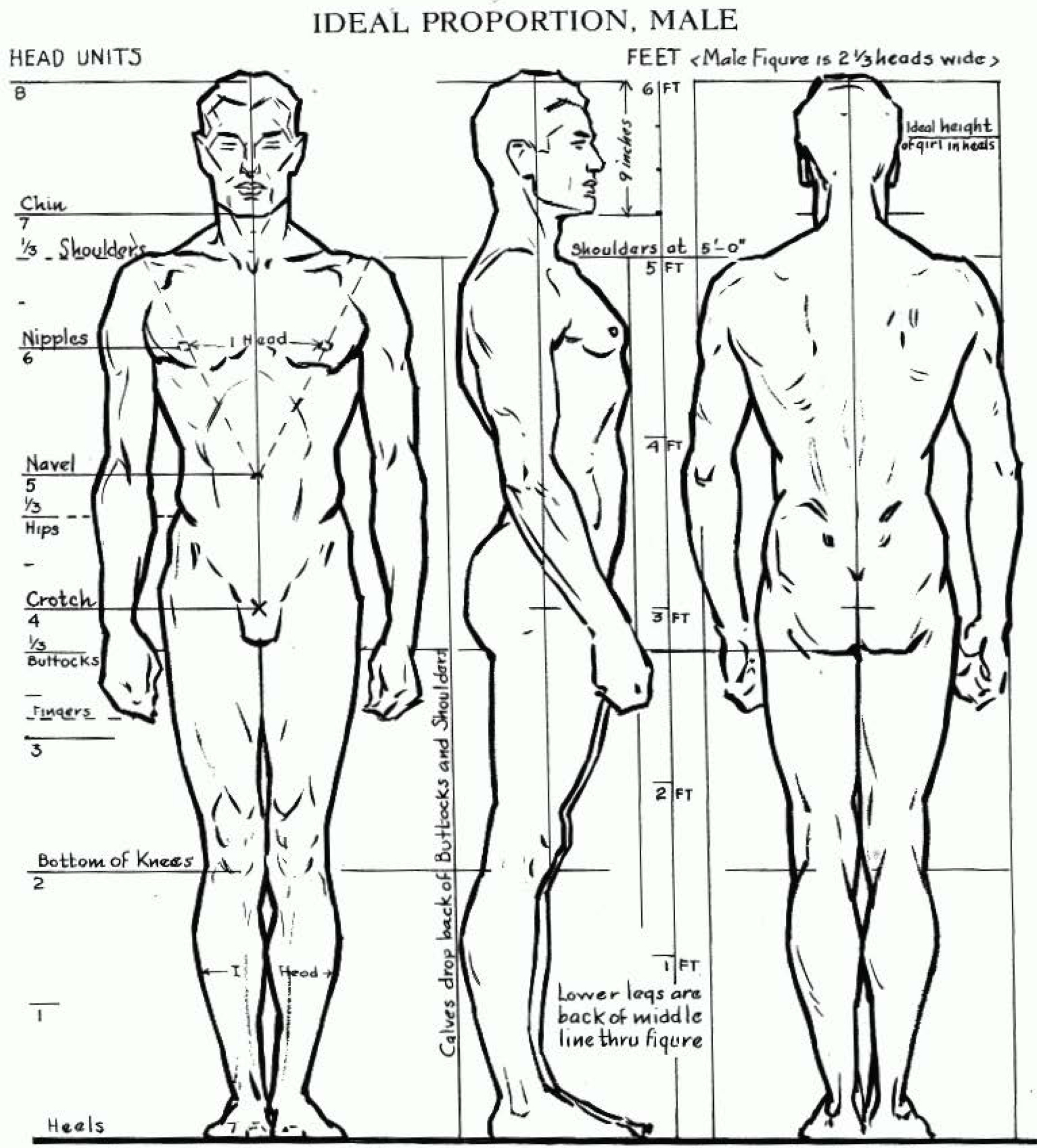 How to draw bodies realistically (Step by step drawing tutorials)