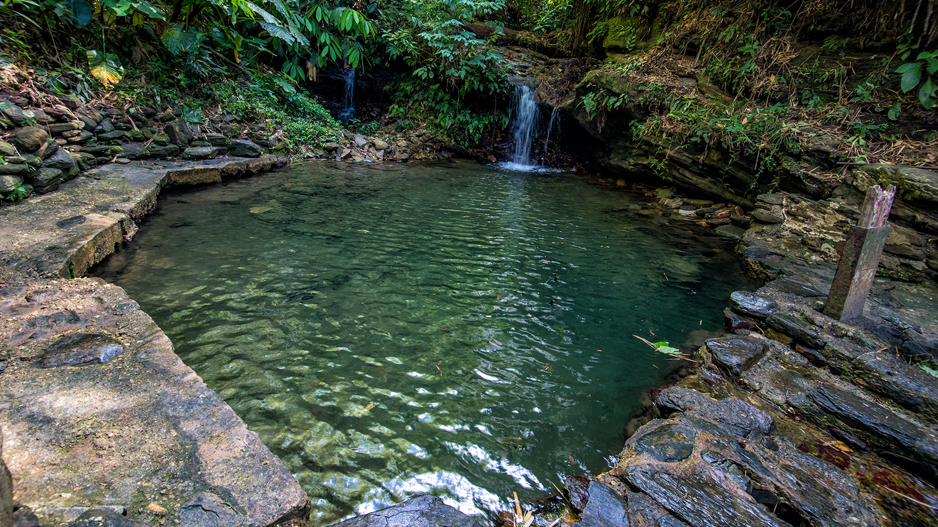 Asa Wright Nature Centre Destination Trinidad and Tobago