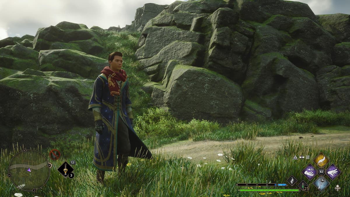 Screenshot by Destructoid
