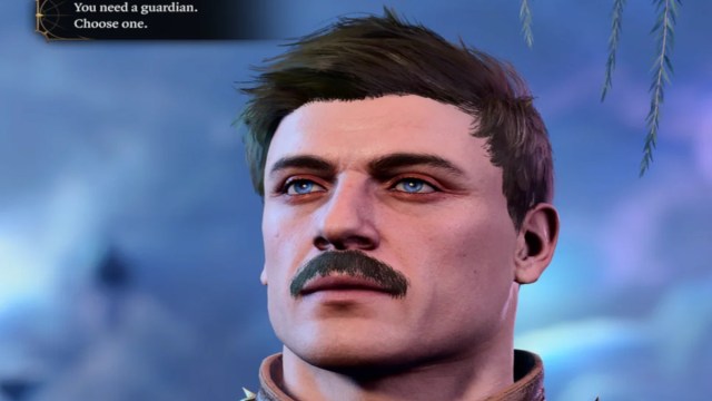 Ron Swanson Guardian in Baldur&rsquo;s Gate 3.