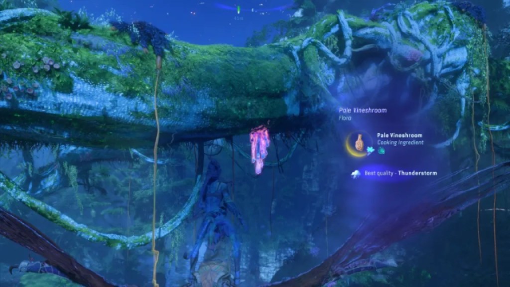 Screenshot by Destructoid