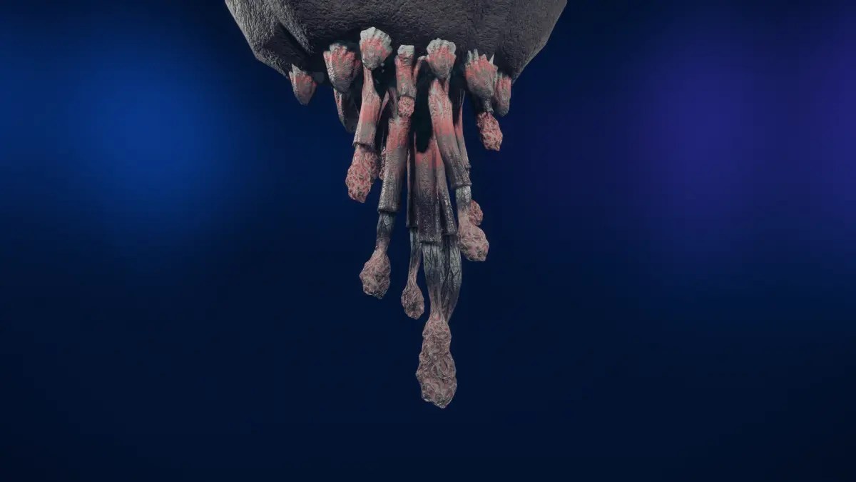 Screenshot by Destructoid