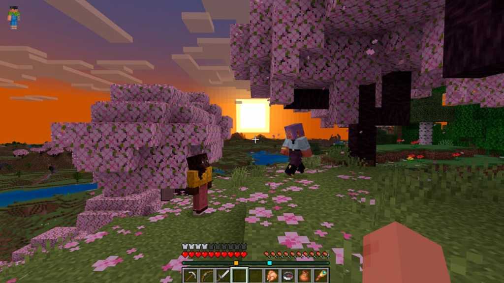 Looking at two players while tracking them with player locator bar in Minecraft