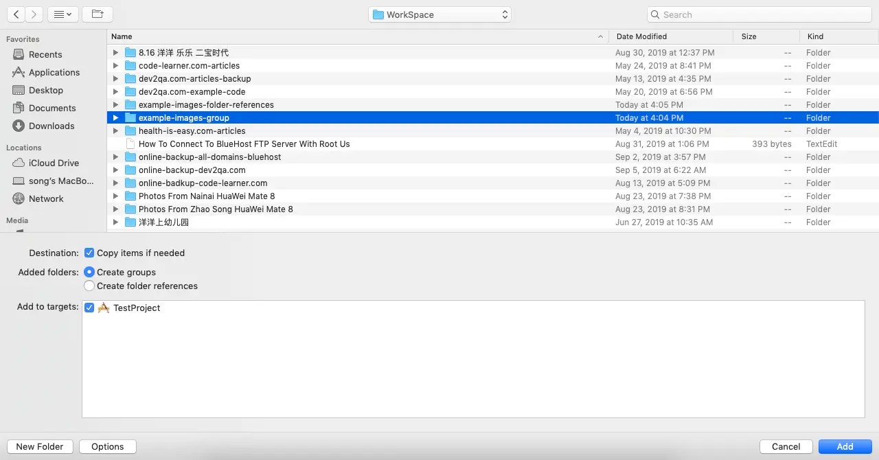 How To Add Resource Files Into Xcode Project And iOS App