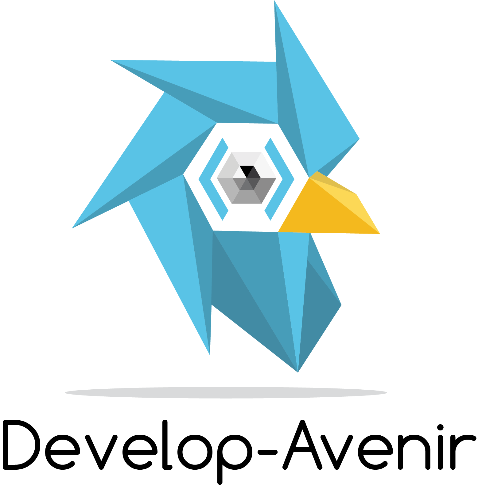 DevelopAvenir