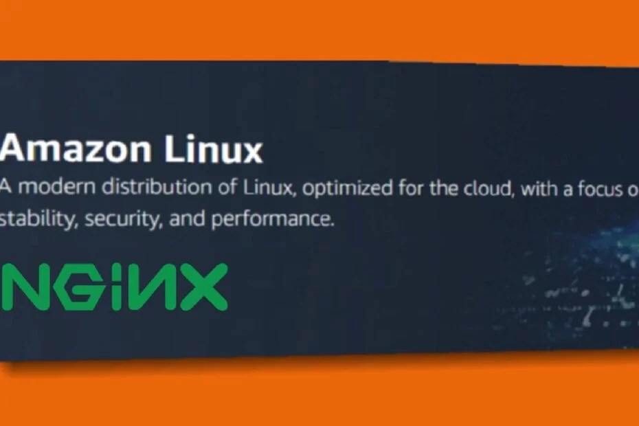 How to Install Nginx on an Amazon Linux 2 Instance Developer Diary