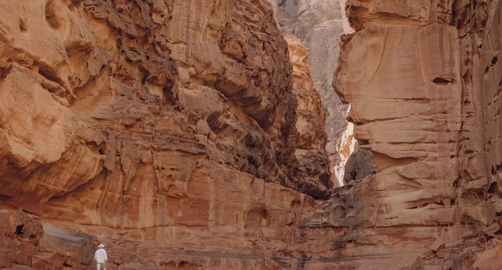 What is the Difference Between PUT and PATCH? A Comprehensive Guide