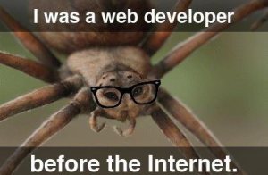 Spider Was the Original Web Developer Meme | Developer Memes