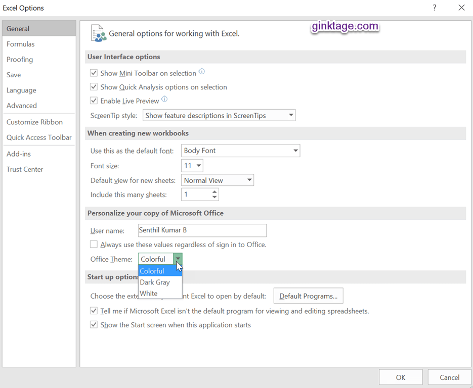 Change the look and feel of Microsoft Excel 2016 Developer Publish