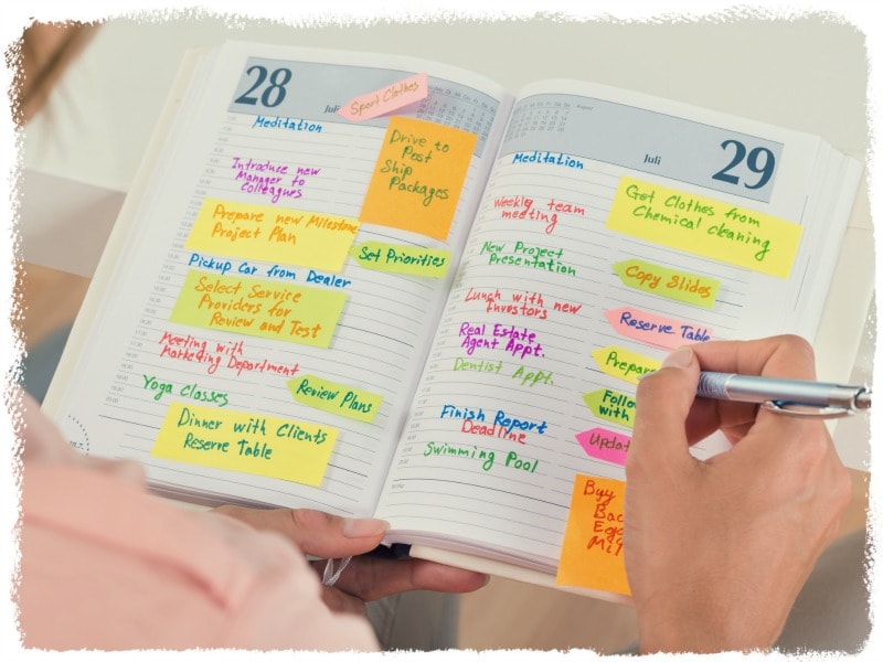 How to Use Todoist Tutorial (The Ultimate Review for 2024) ReportWire