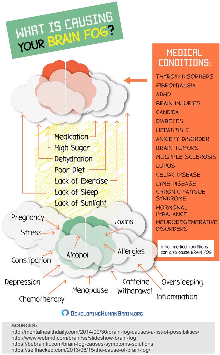 Suffering from Brain Fog? What Causes It and How to Clear It