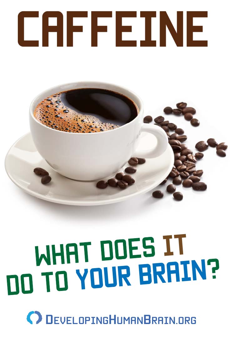 Surprising Effects of Caffeine on the Brain and Nervous System