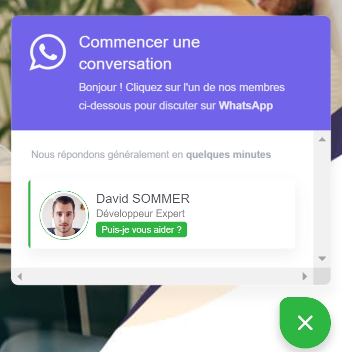 Chat WhatsApp extension pour WordPress Développeur Expert