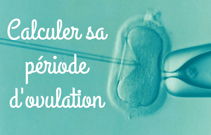 Toutes les méthodes pour calculer sa période d'ovulation facilement