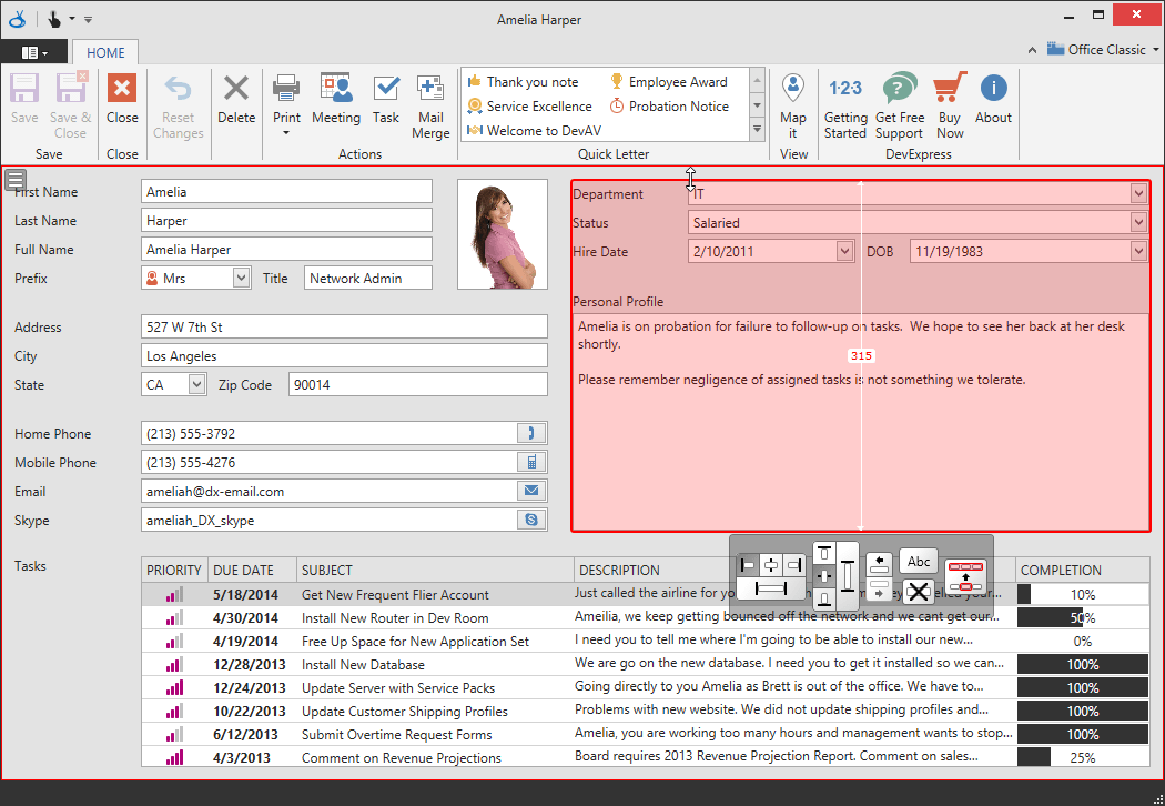 WPF Data Form Layout UI Design DevExpress