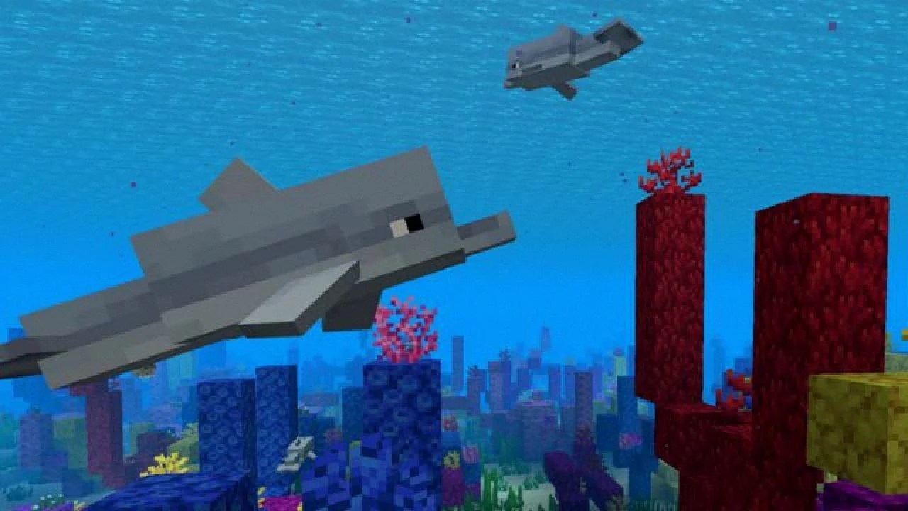 31 Facts About Minecraft Dolphins DeviceMAG