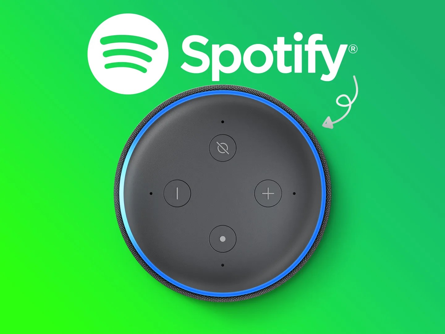 How to Troubleshoot Spotify Issues on Alexa in 2023? DeviceMAG
