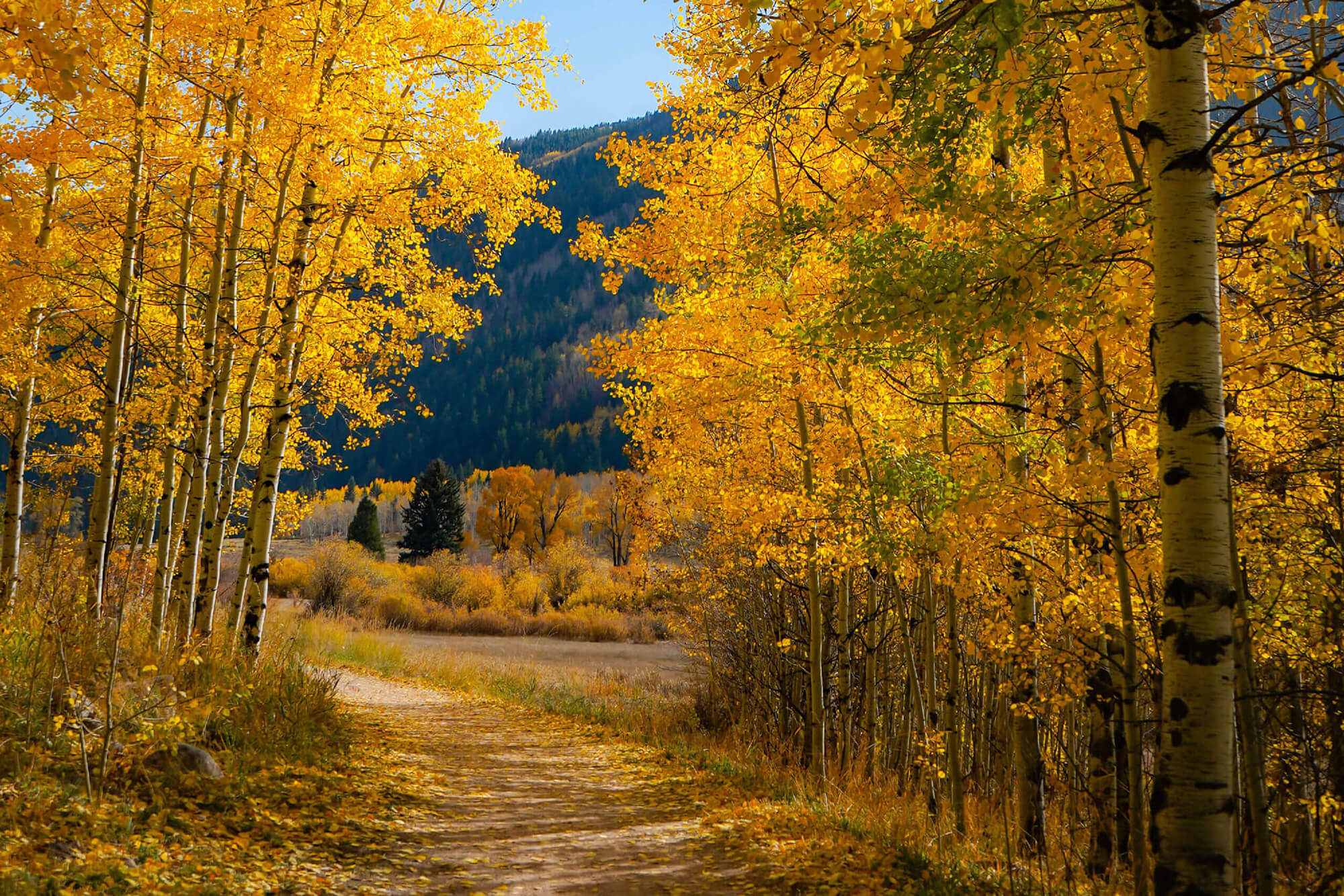 Colorado Fall Foliage Hikes Devil's Thumb Ranch Resort & Spa