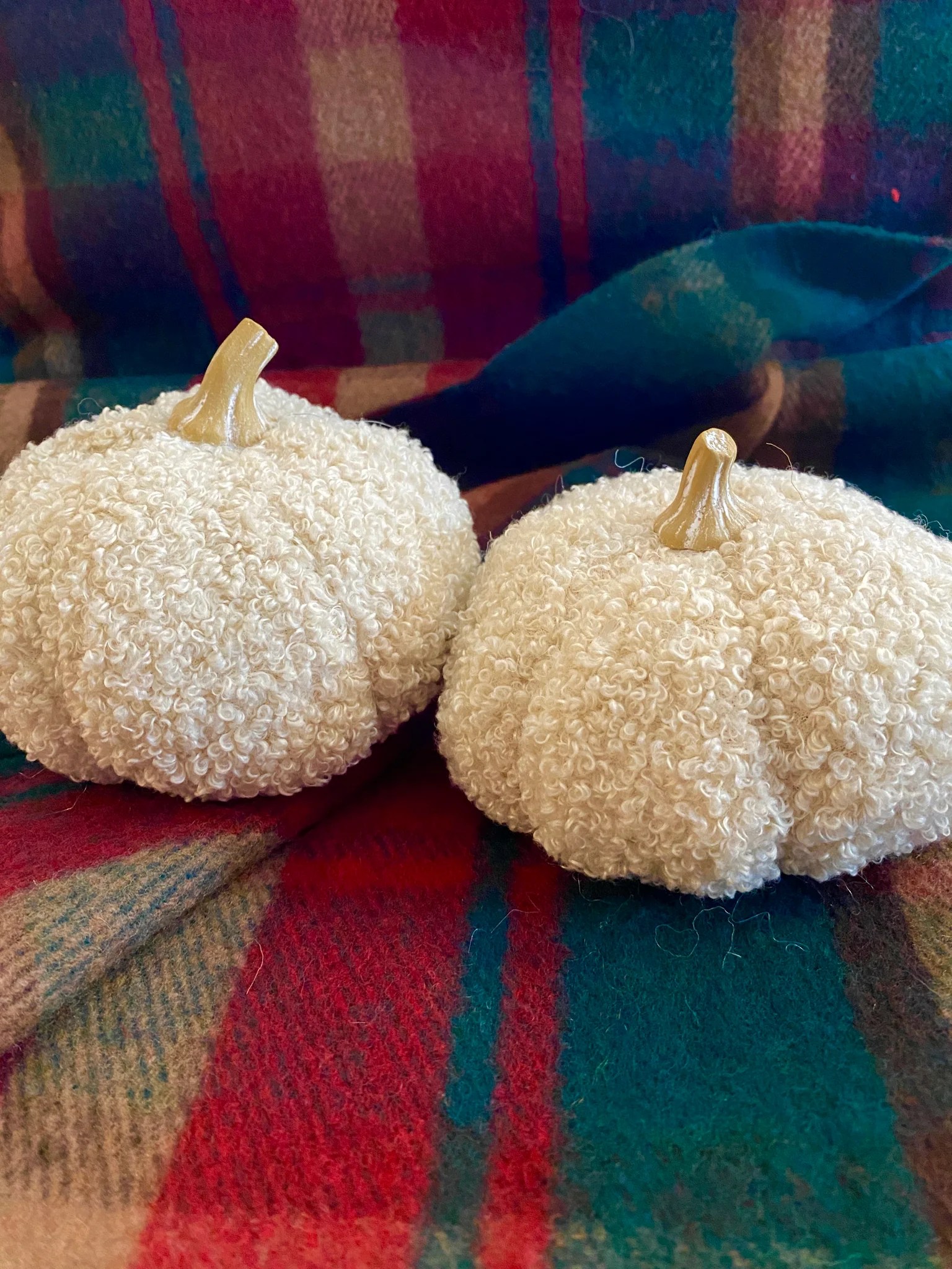 Boucle Pumpkins Beige Devitt House