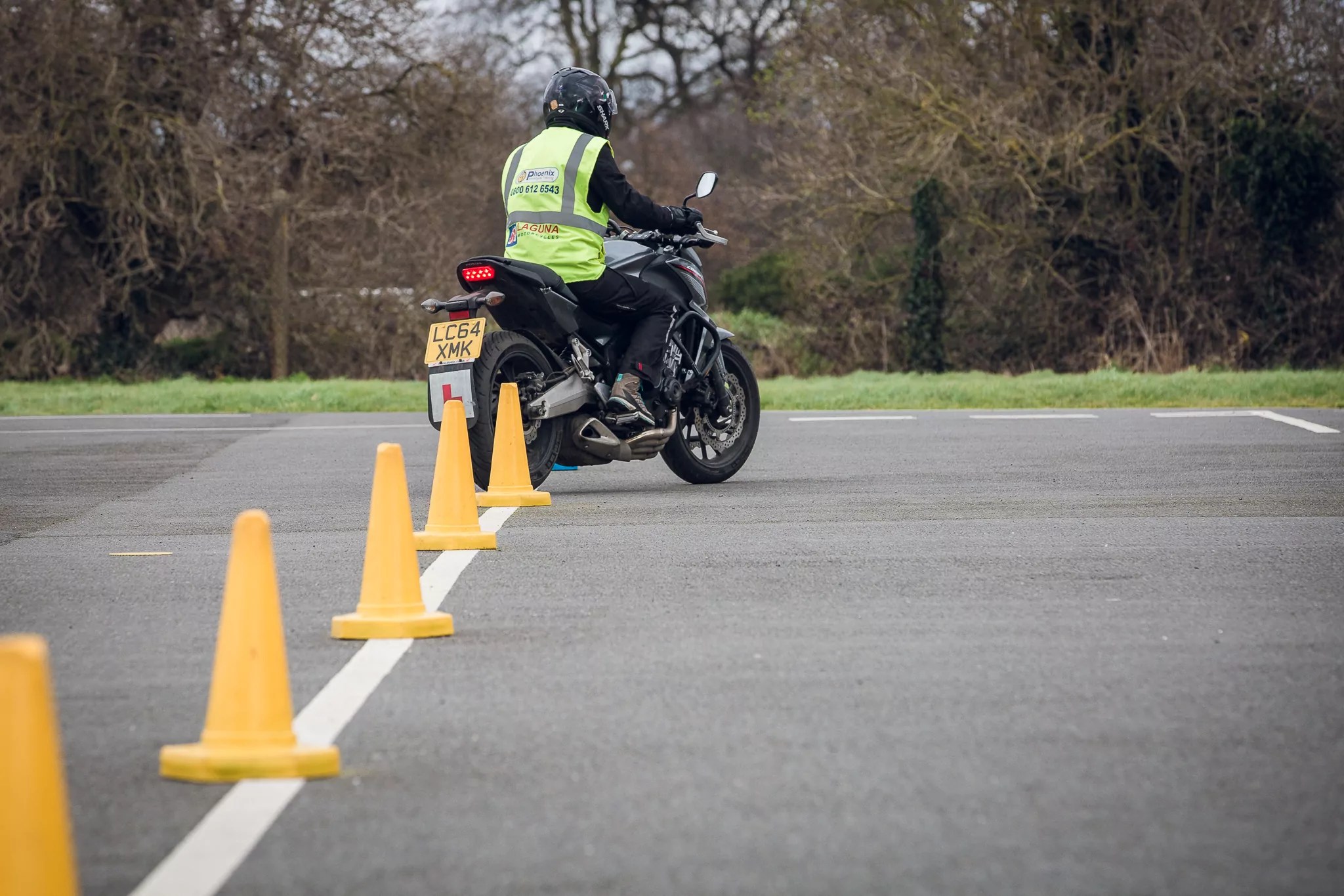 Online CBT Module Celebrates Its First Anniversary Devitt