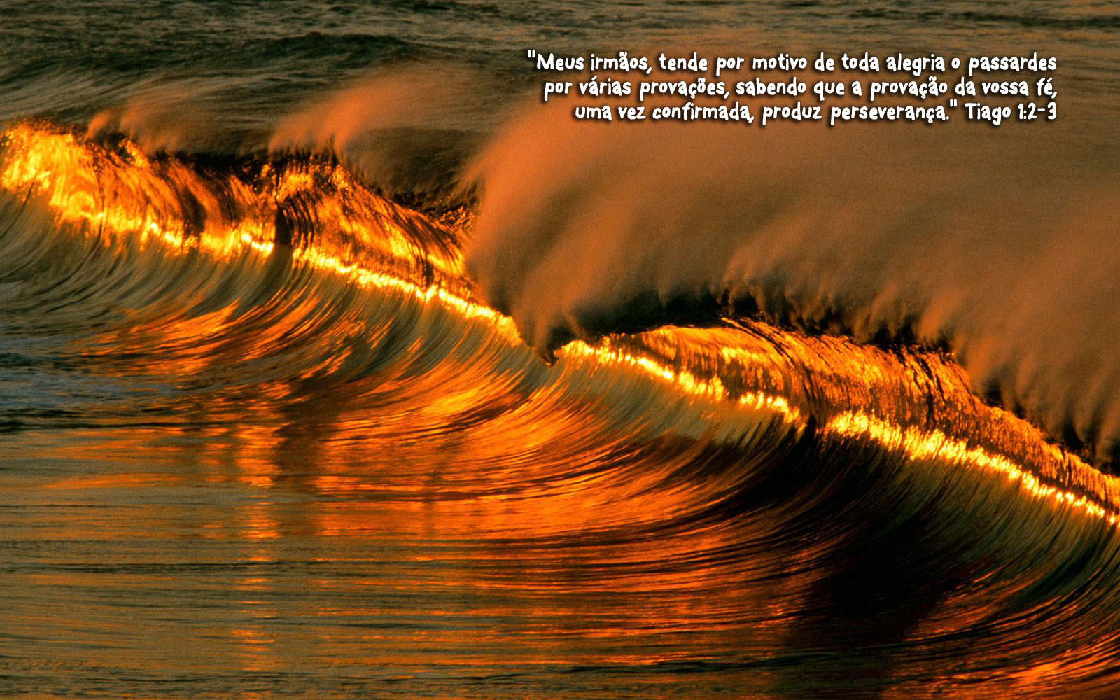 Provações Servo de Cristo