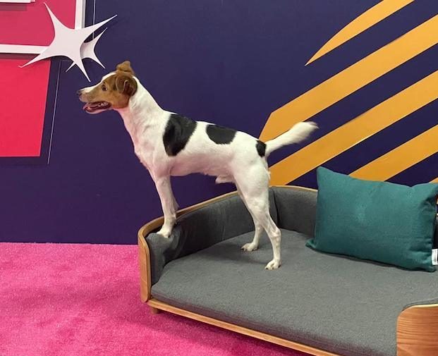 Real Life Boundary Games Online 4 Week November 2024