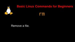 Mastering the rm Command in Linux with Examples - DevopsRoles.com