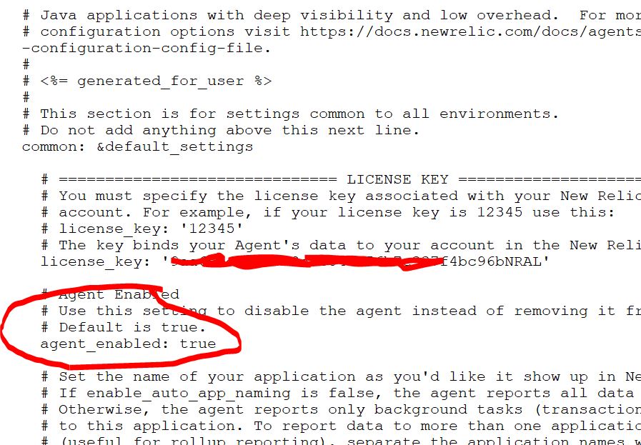 How to disable newrelic agent completly or disable for specific app in JAVA?