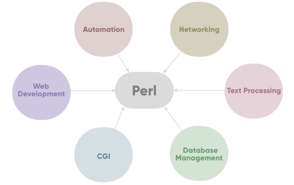 What is Perl and How it works? An Overview and Its Use Cases
