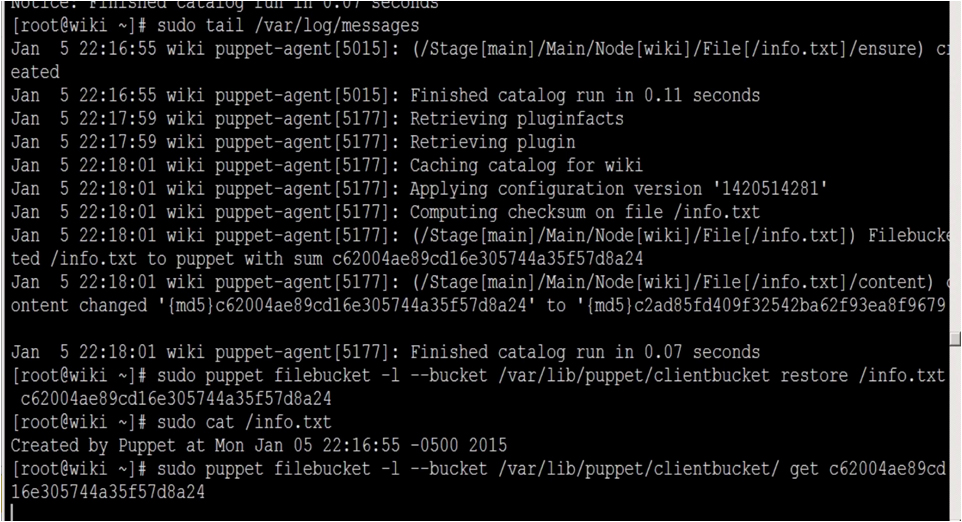 Intro Configuration Management and Puppet