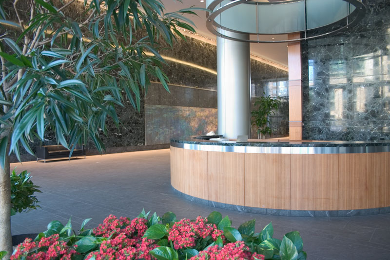 After Water Lilies, by Devorah Sperber, 20052006, commissioned