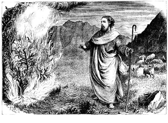 Mosesburningbush Devotions From The Bible