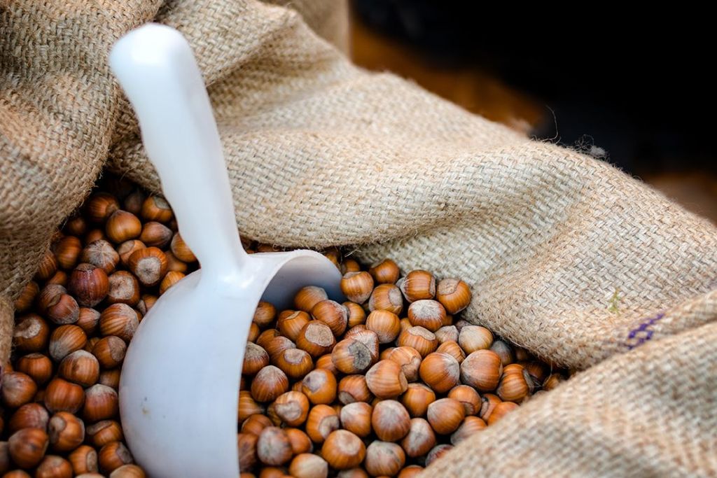 Buy roasted hazelnuts online Devran Trading llc hazelnuts