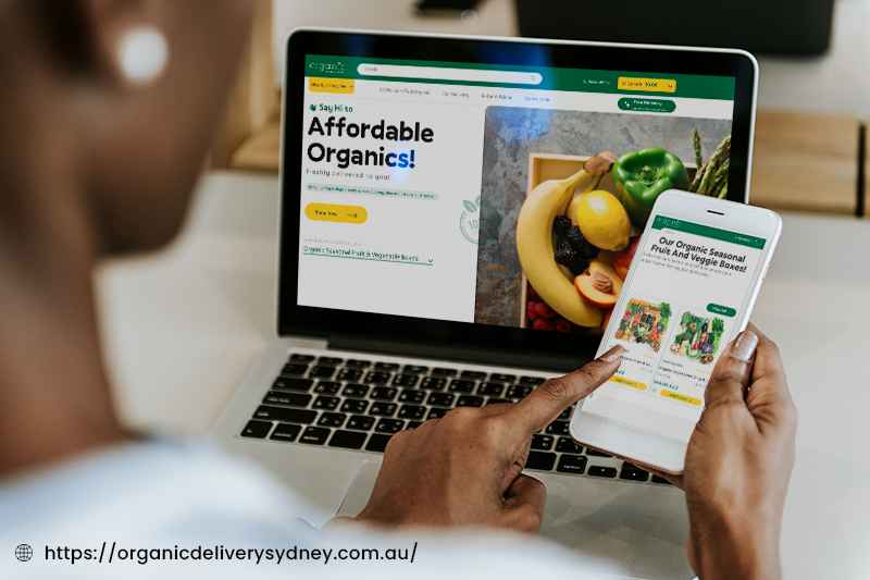 Our Work Portfolio Devstree