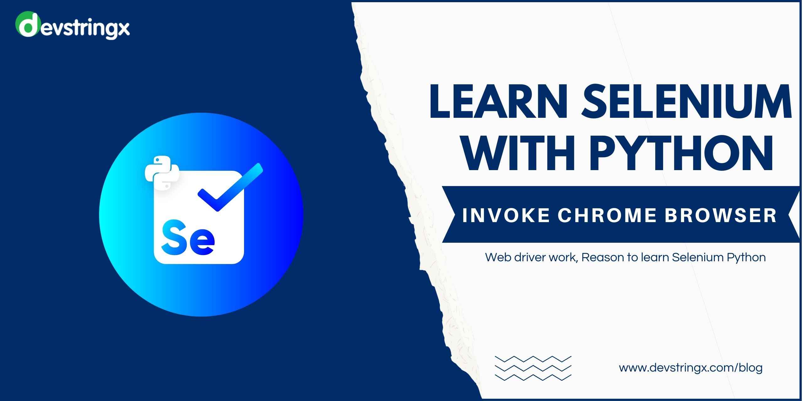 Selenium Python Invoke Chrome Browser & Load Site to Automate