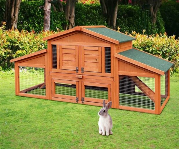 How to Clean an Outdoor Rabbit Hutch World Magazine 2024