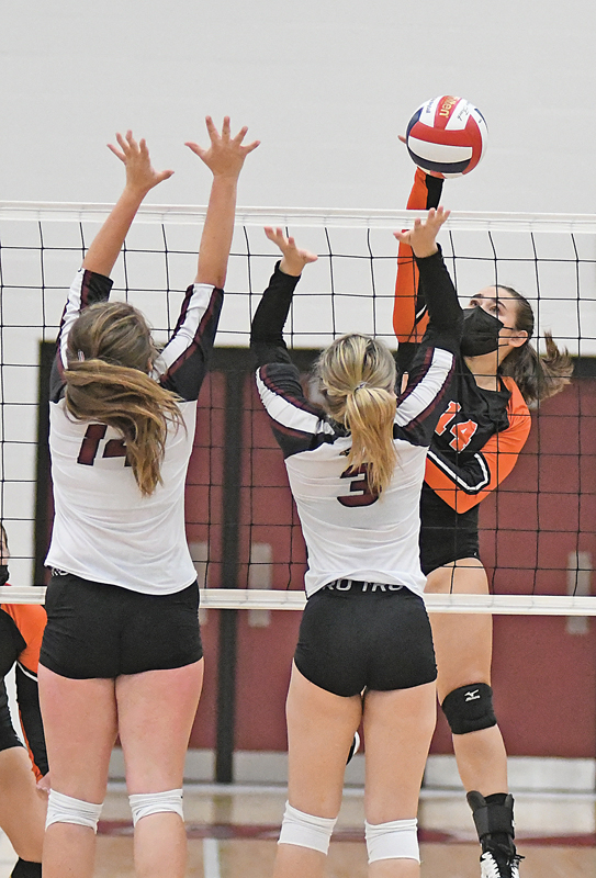 Elk Mound spikers swoop past Cardinals The Tribune Press Reporter