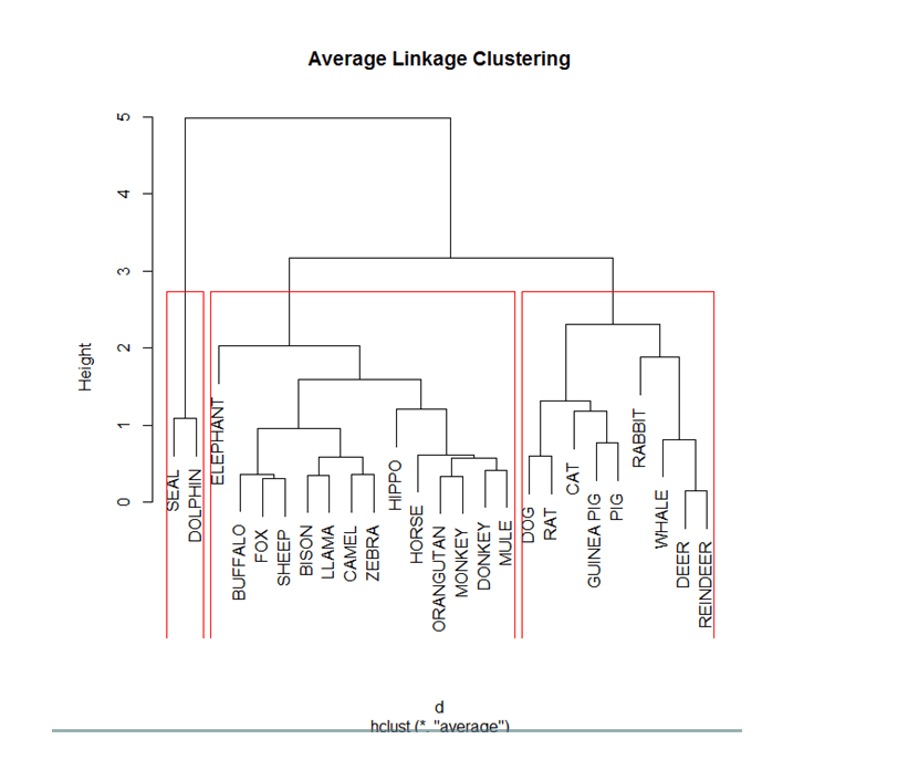 Stepbystep Guide for Implementation of Hierarchical Clustering in R