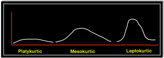 Skewness and Kurtosis A Definitive Guide