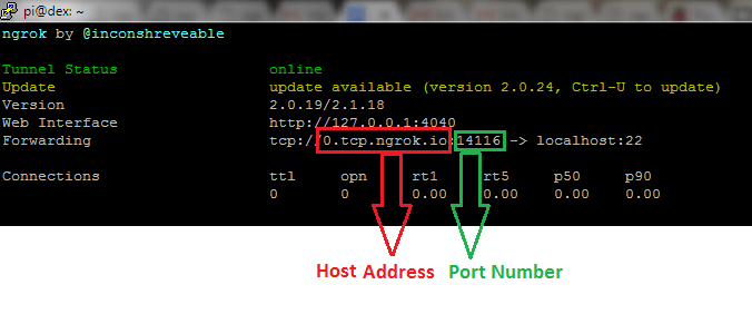 Access Your Raspberry Pi From Outside Your Home or Local Network